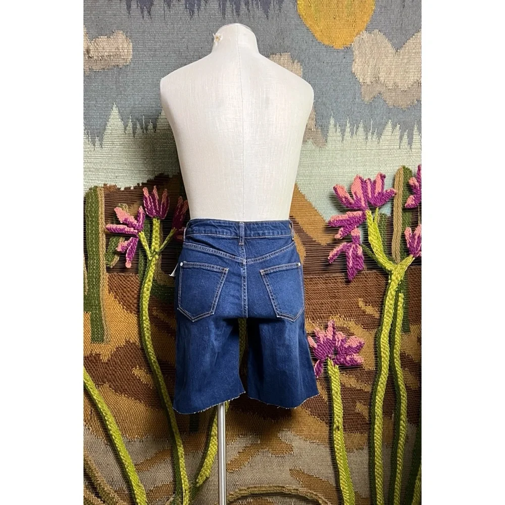 Anthropologie Pilcro Denim Shorts 25 - Picture 3 of 13